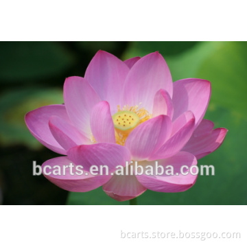 Swell lotus painting wall decor Chinese style oil painting lotus flower oil